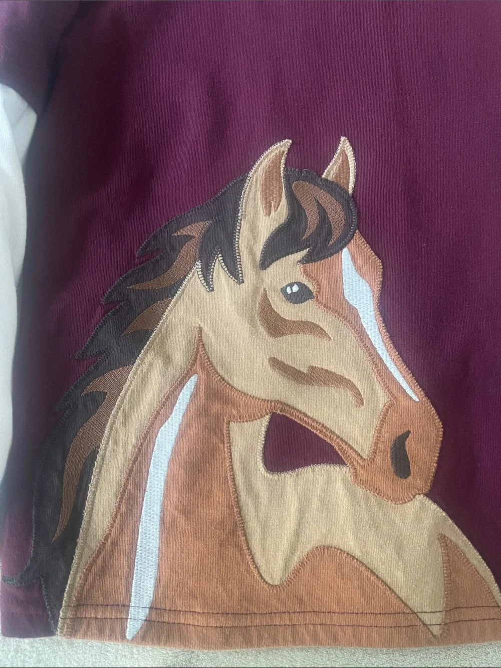 Gymboree Burgundy Long Sleeve Top with Horse Graphic